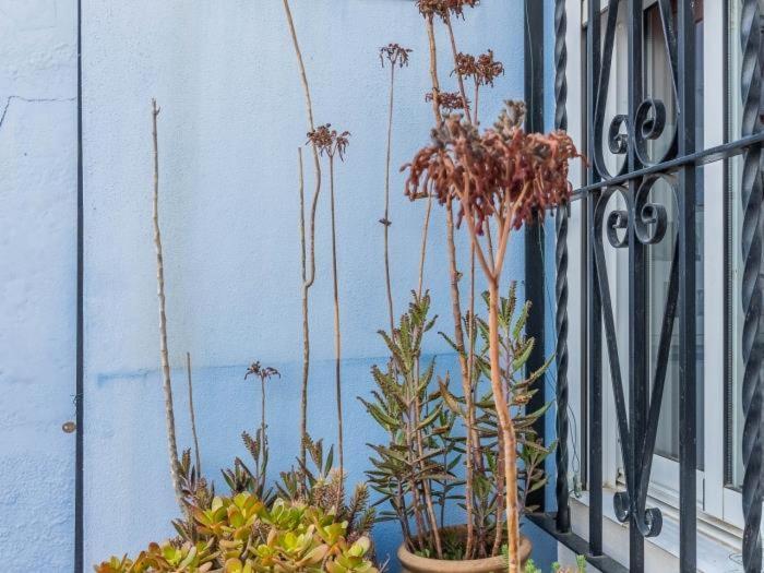 Apartamento Susillo Vacacional Sevilla Exterior foto